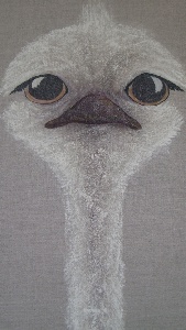 illustration 133