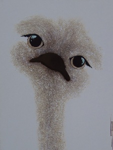 illustration 134